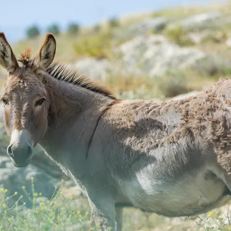 Convento La Magdalena Hotel Antequera